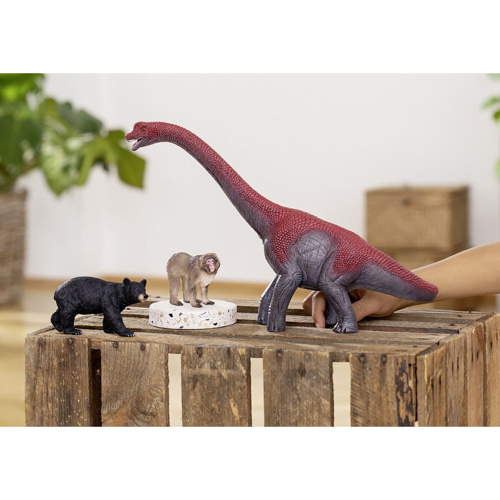 Schleich dinosaurus, Brachiosaurus