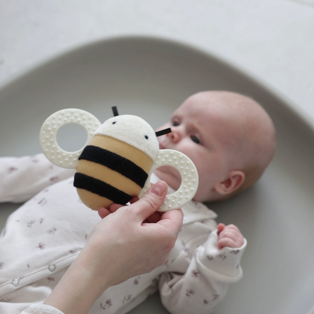 Sebra Aktivitetsrangle med spejl, bien Billy