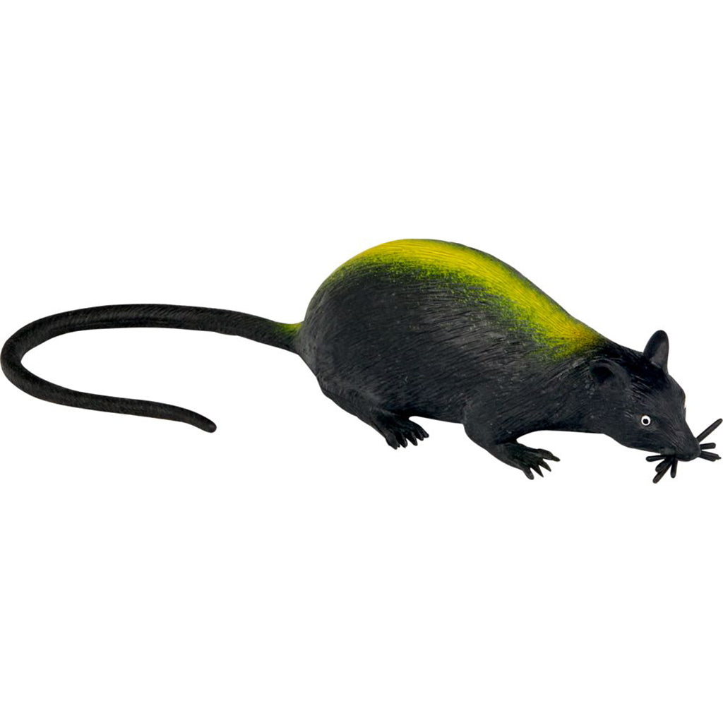 Wild+ cool, Kanalrotte