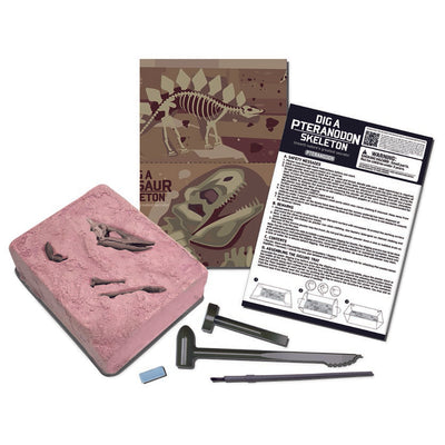 KidzLabs, udgravningssæt - Udgrav et Pteranodon-skeleon