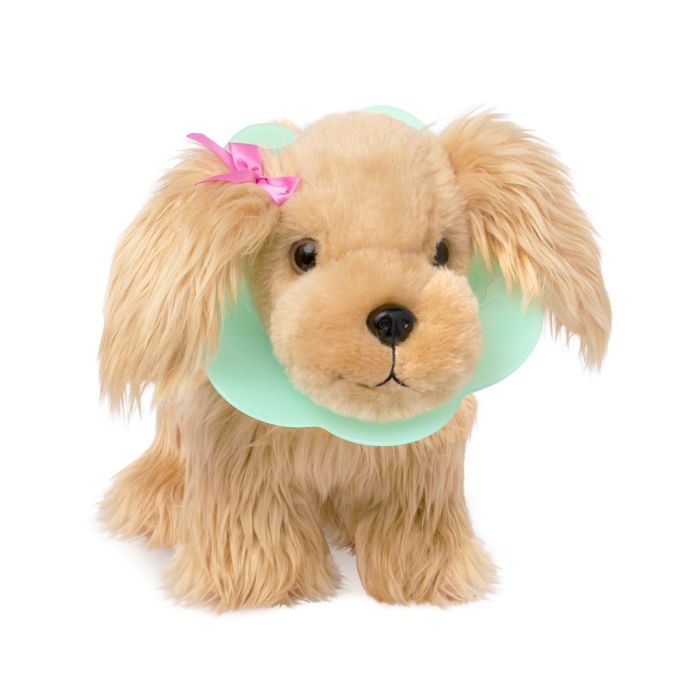 Pucci Pups Dyrelæge Cocker