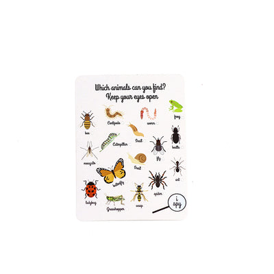 Mamamemo Insekthus i træ m. oversigtskort over insekter ( på engelsk)