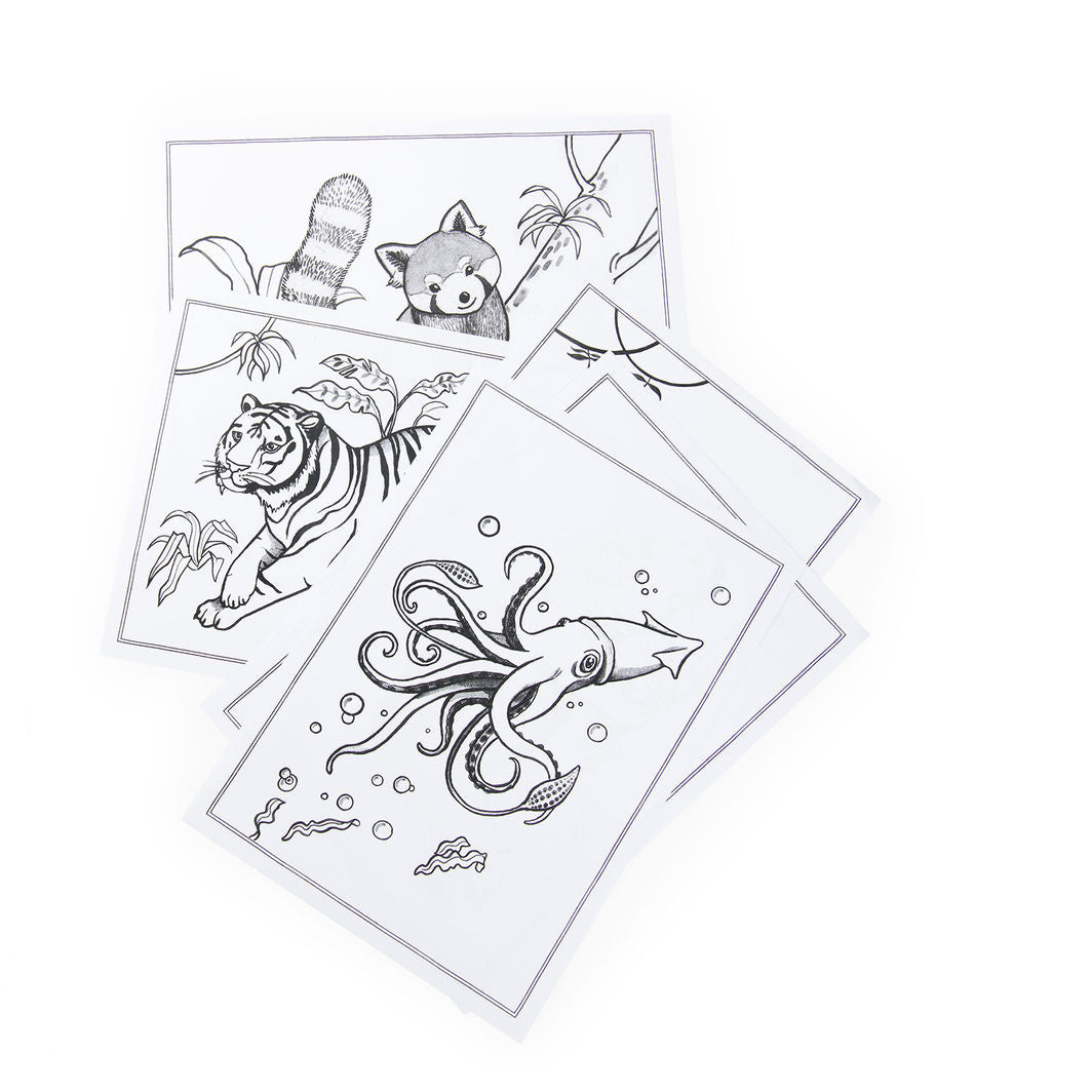 Moulin Roty Tegnetavle med lys, Tout autour du monde