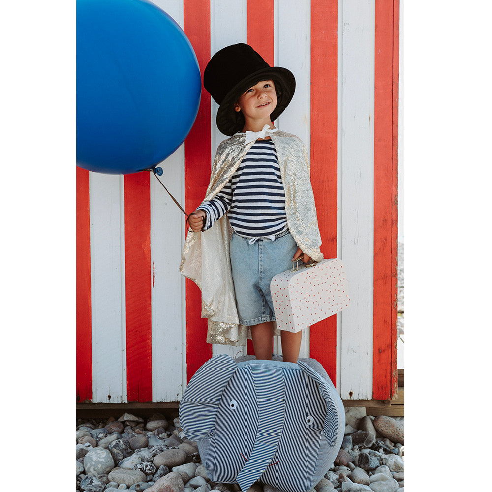 Marvins Magic tryllesæt, Rabbit & Top hat