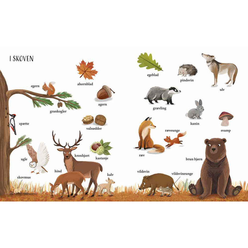 Forlaget Bolden, Jeg ser på: Naturen med min store billedordbog