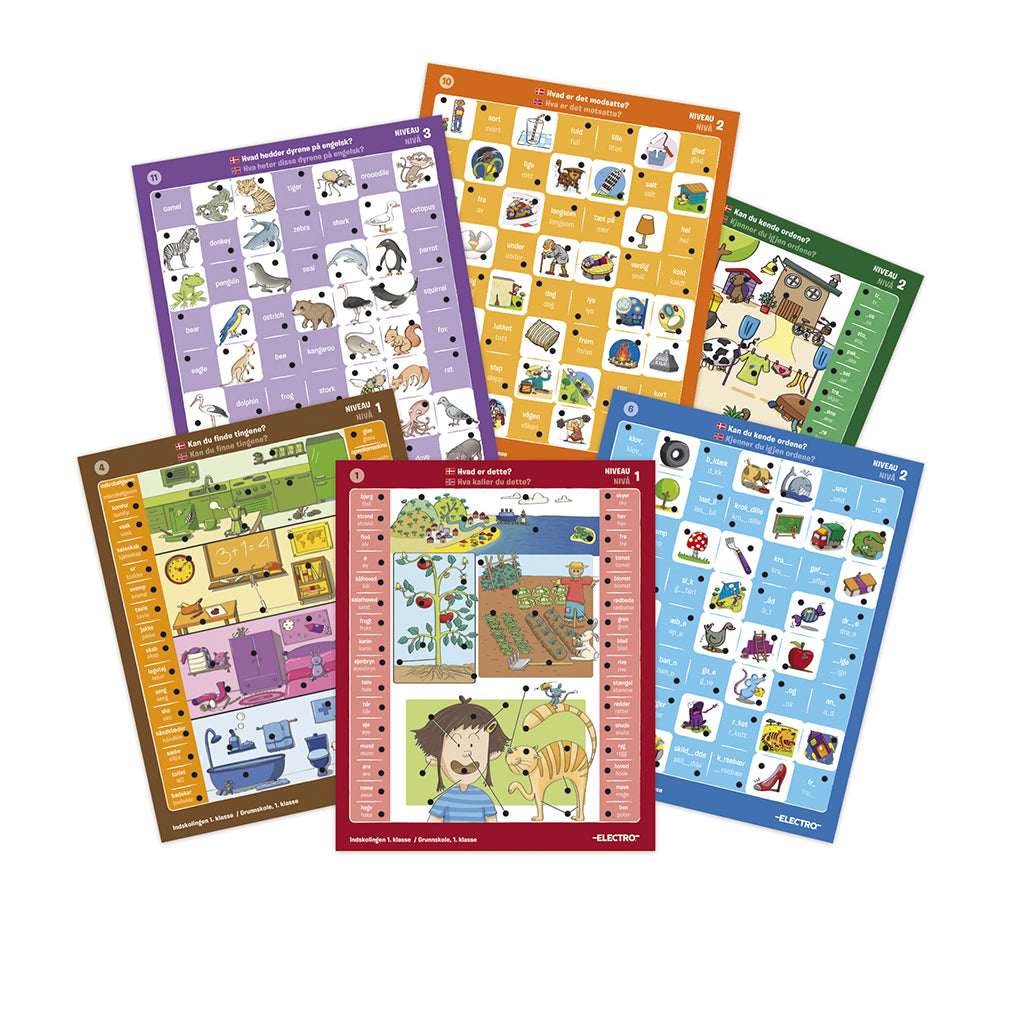 Jumbo Electro, Styrk skolekundskaber ( Dansk og Norsk)