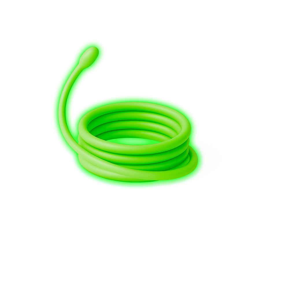 Kidyneon, DIY selvlysende billeder med grøn neontråd - Dinosaur