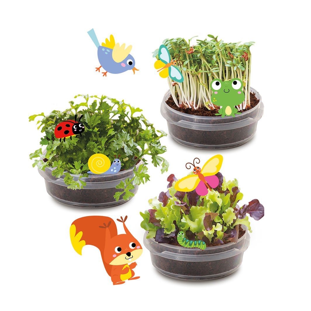 SES Creative Byg selv, Urtehavehus