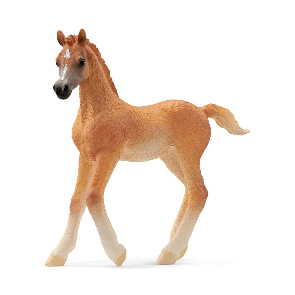 Schleich hest, Araber føl
