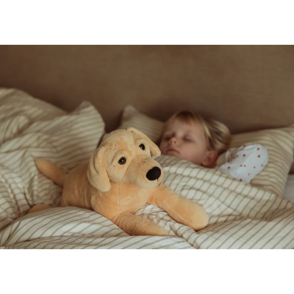 By Astrup tyngdedyr, hund - 2.2 kg