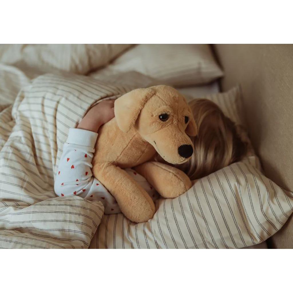 By Astrup tyngdedyr, hund - 2.2 kg