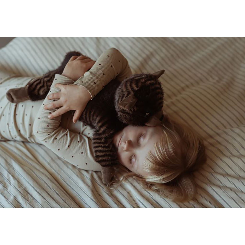 By Astrup tyngdedyr, kat - 1.2 kg