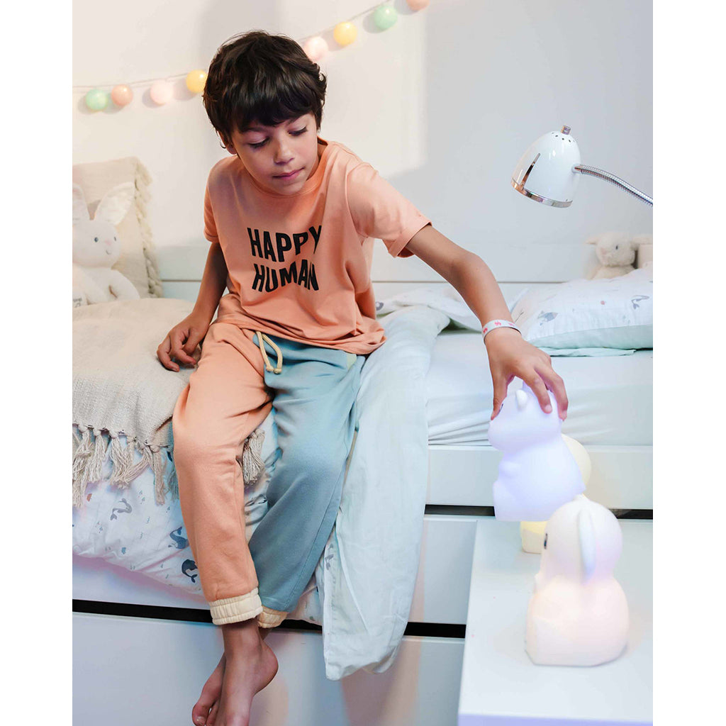 Kidynight, genopladelig natlampe - Elephant