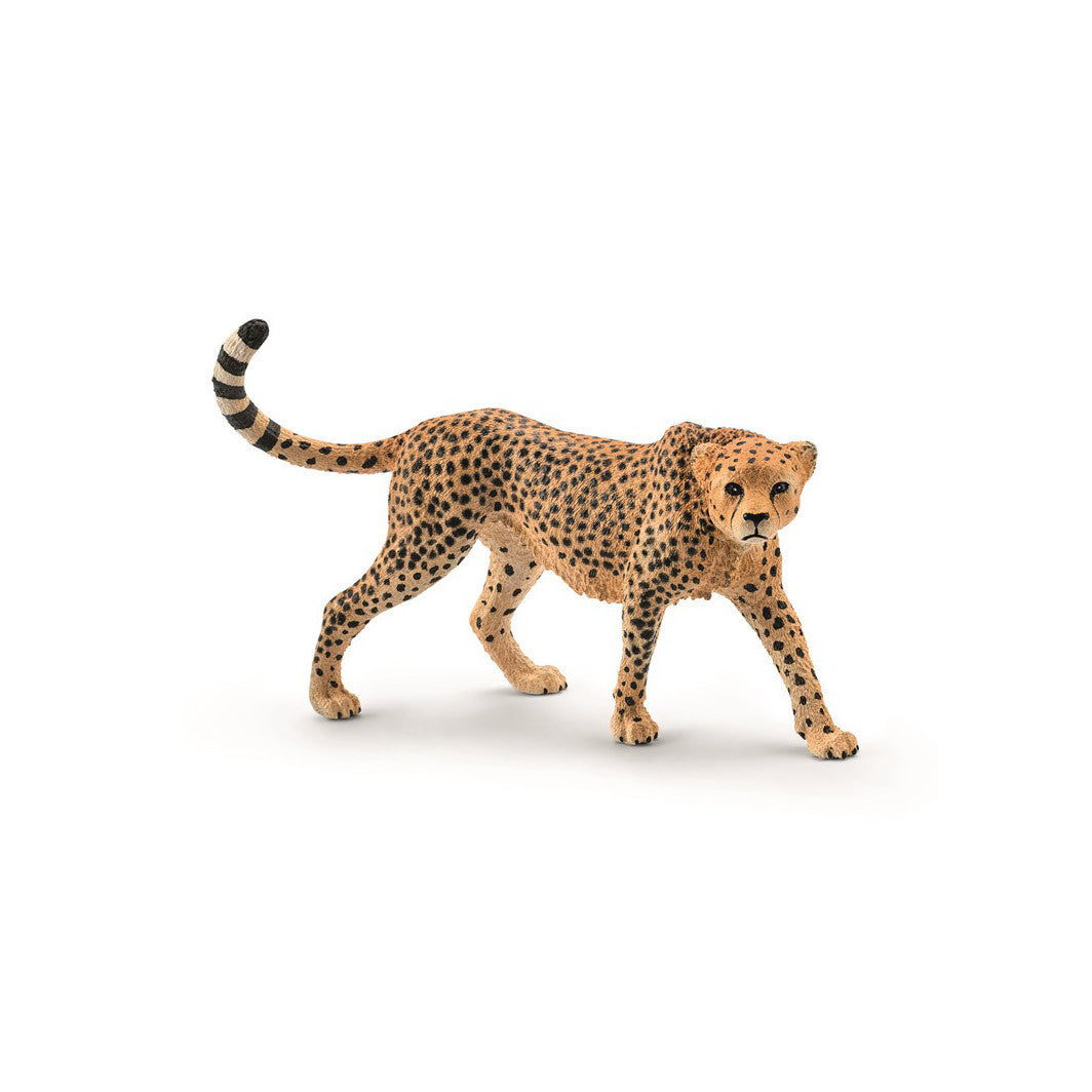 Schleich gepard, Hun