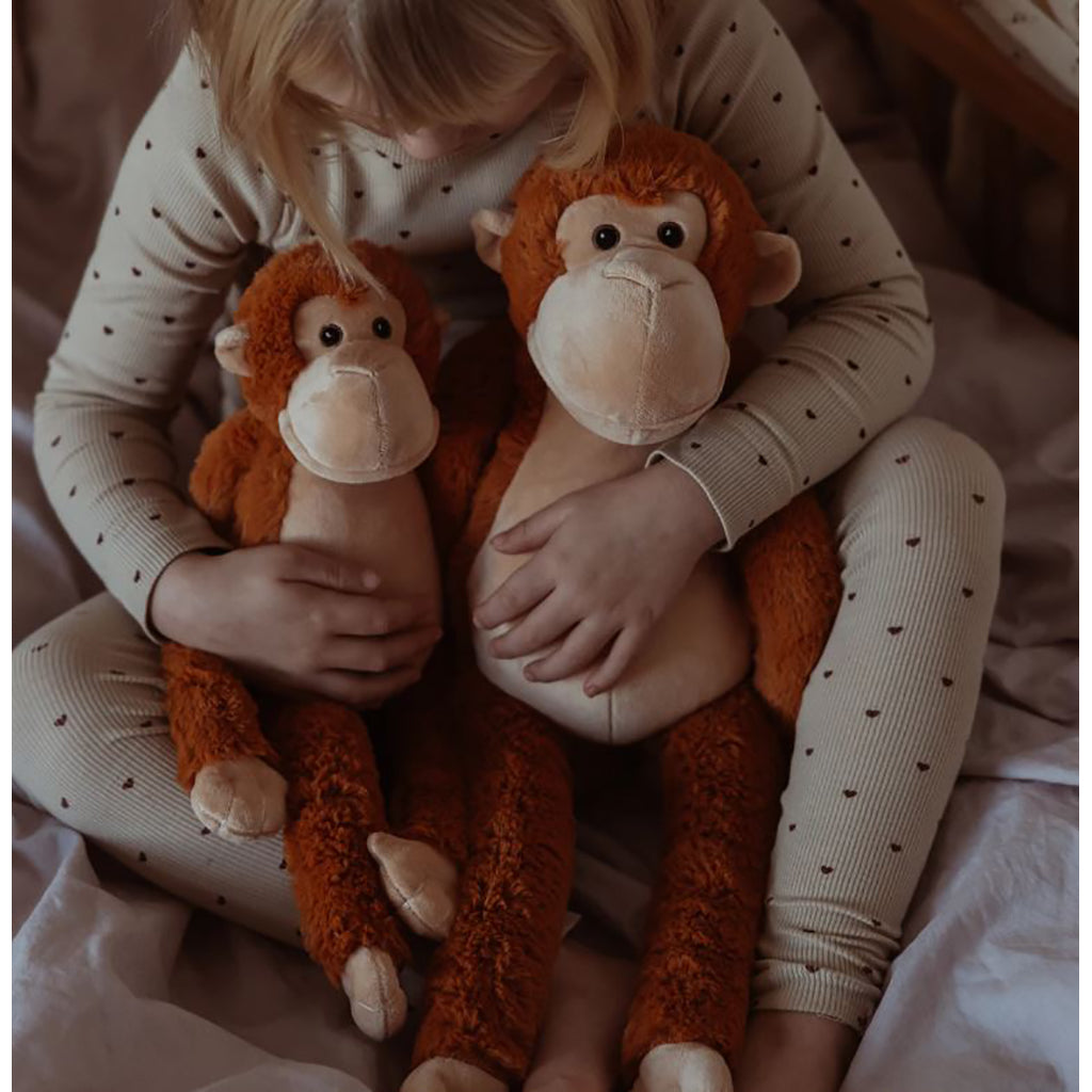 By Astrup tyngdedyr, abe - 1.8 kg