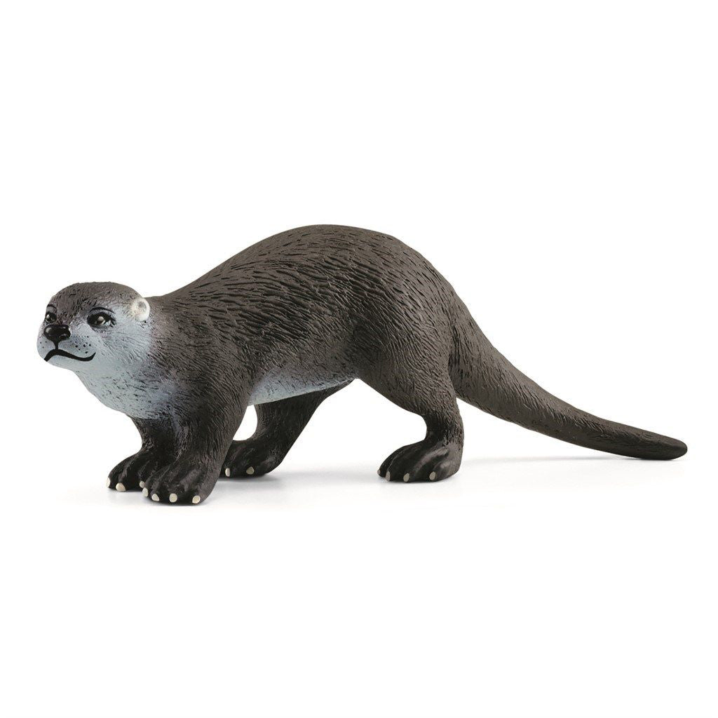 Schleich odder