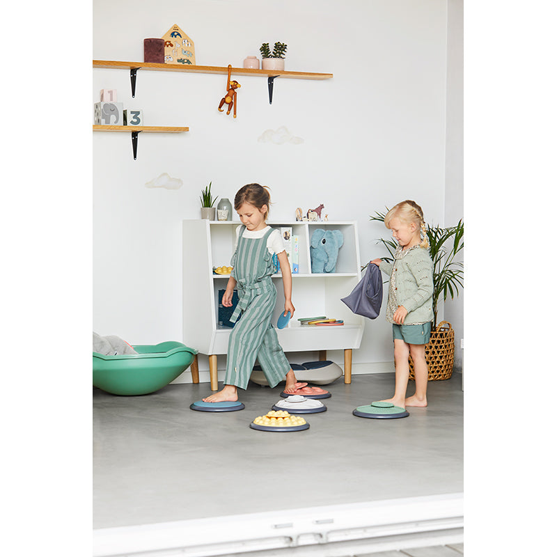 Gonge Tactile disc, Nordic