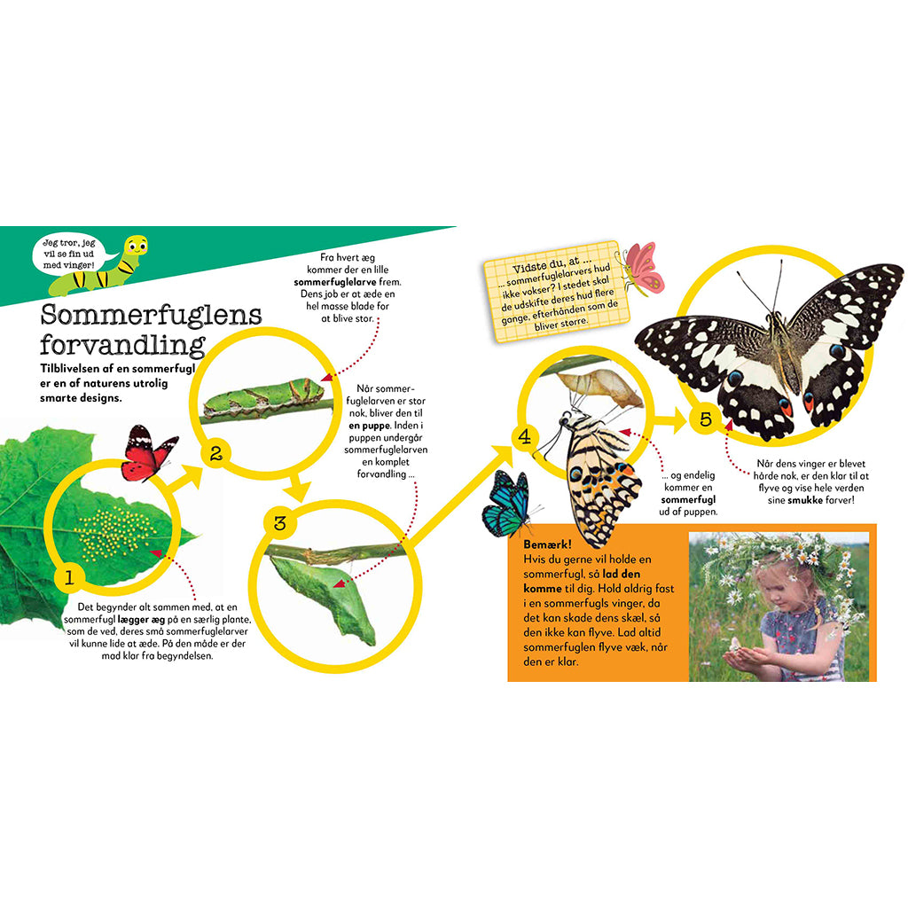 Nu bliver det sjovt, Krible-Krable dyr