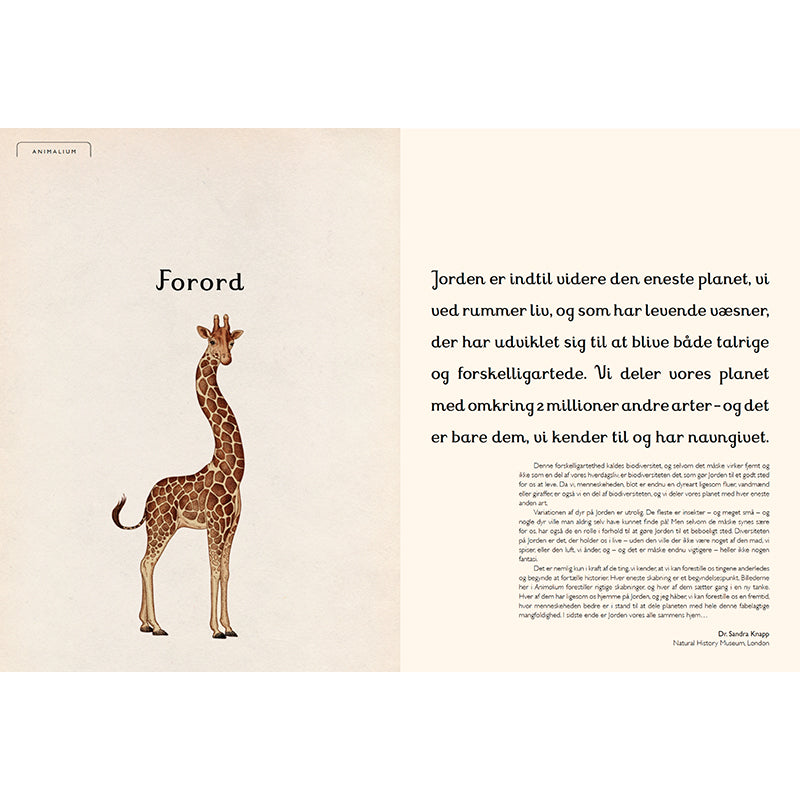 Forlaget Mammut, Animalium