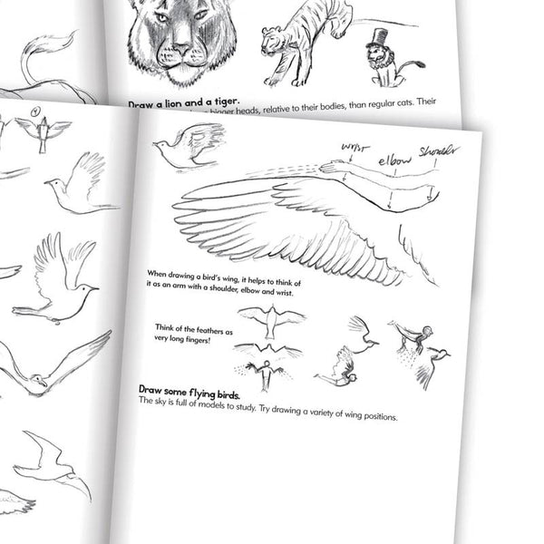 Artbook, lær at tegne dyr - for børn fra 7 år Lirum Larum Leg