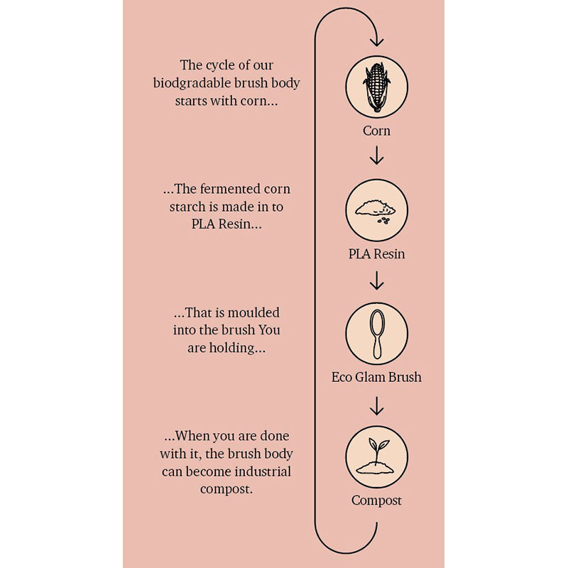 Fan Palm hårbørste, Eco Glam - Medium