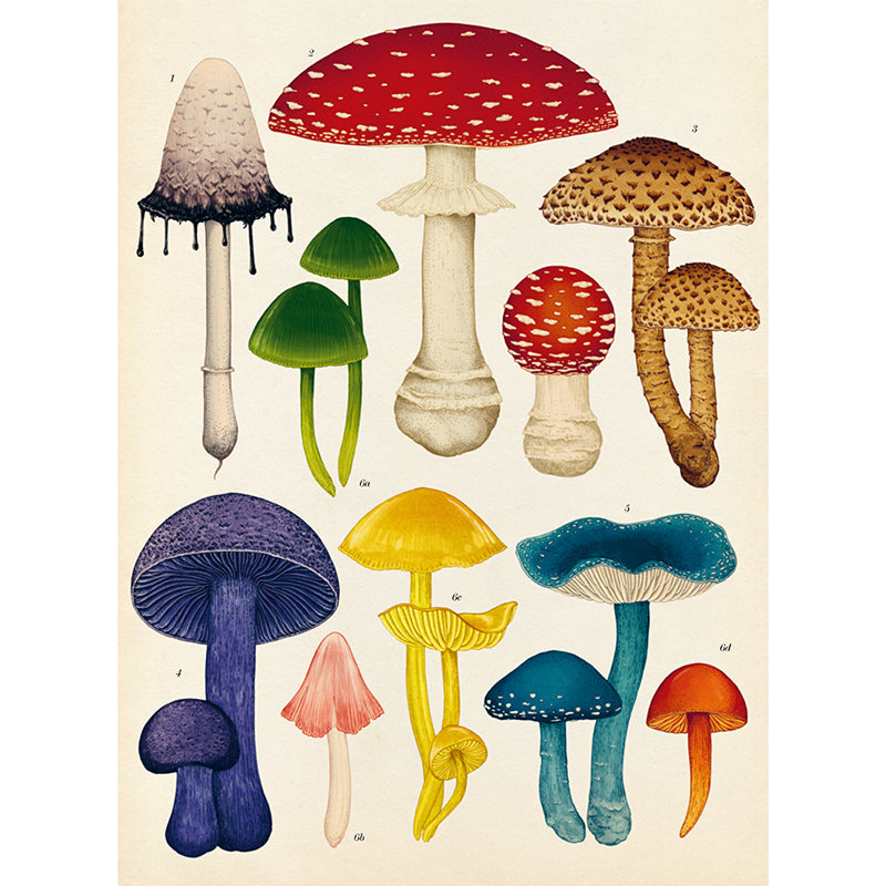 Forlaget Mammut, Fungarium