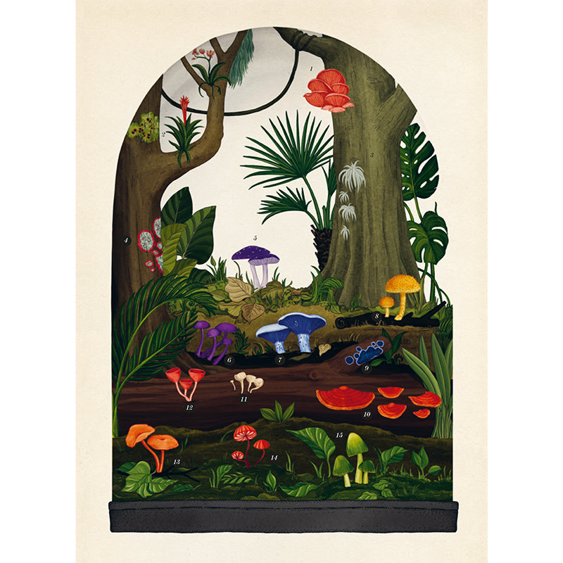 Forlaget Mammut, Fungarium