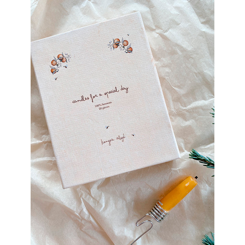 Konges Sløjd lys til fødselsdagstog, Nature