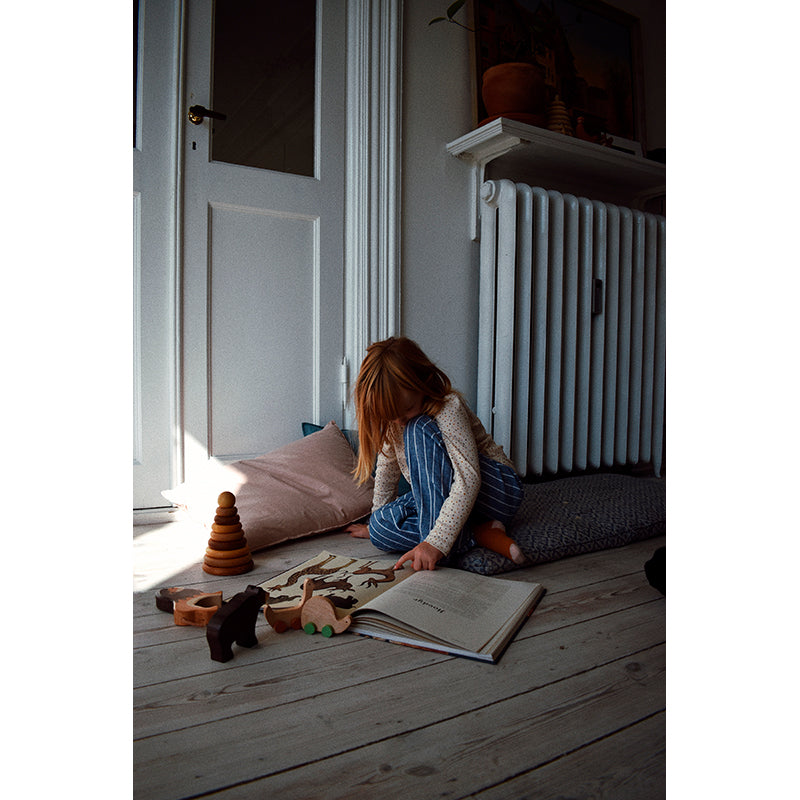 Forlaget Mammut, Animalium