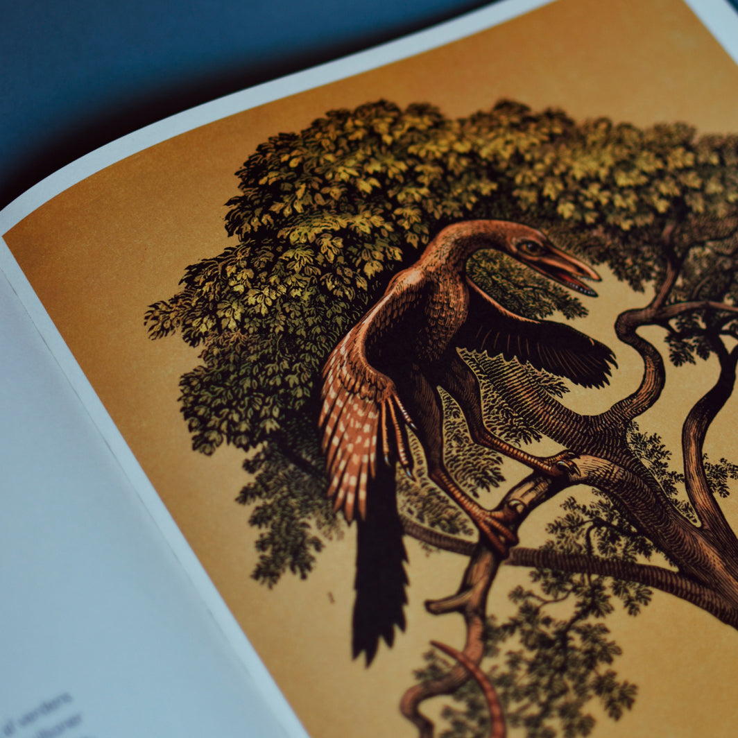 Forlaget Mammut, Dinosaurium