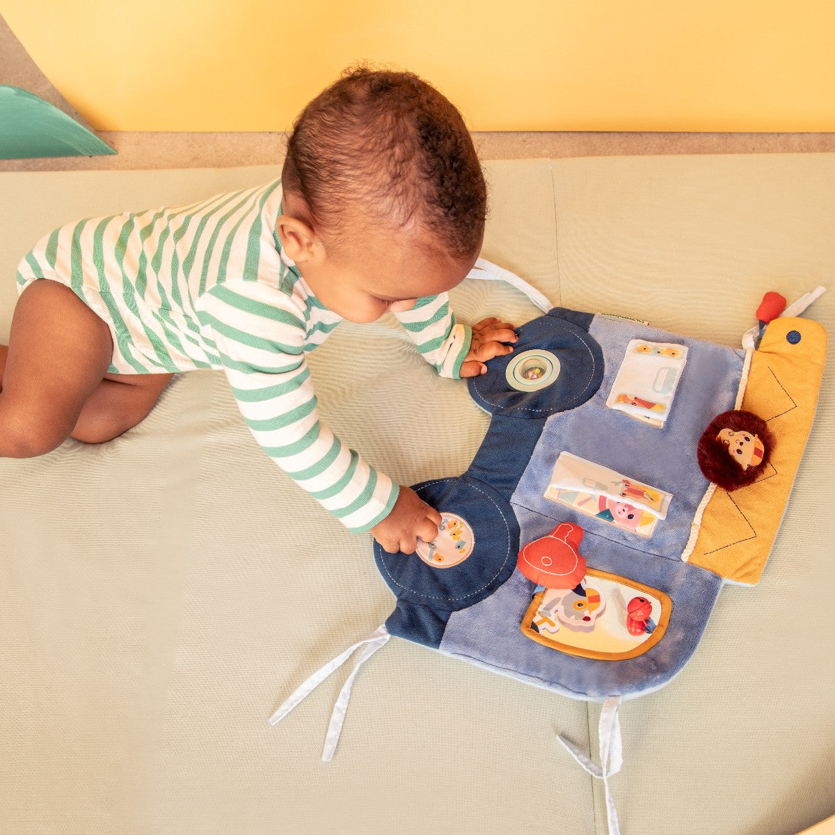 Lilliputiens aktivitetsdyr, Jules aktivitets panel