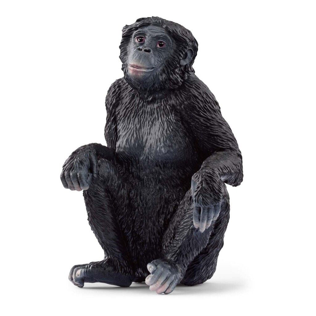 Schleich Bonobo hun abe
