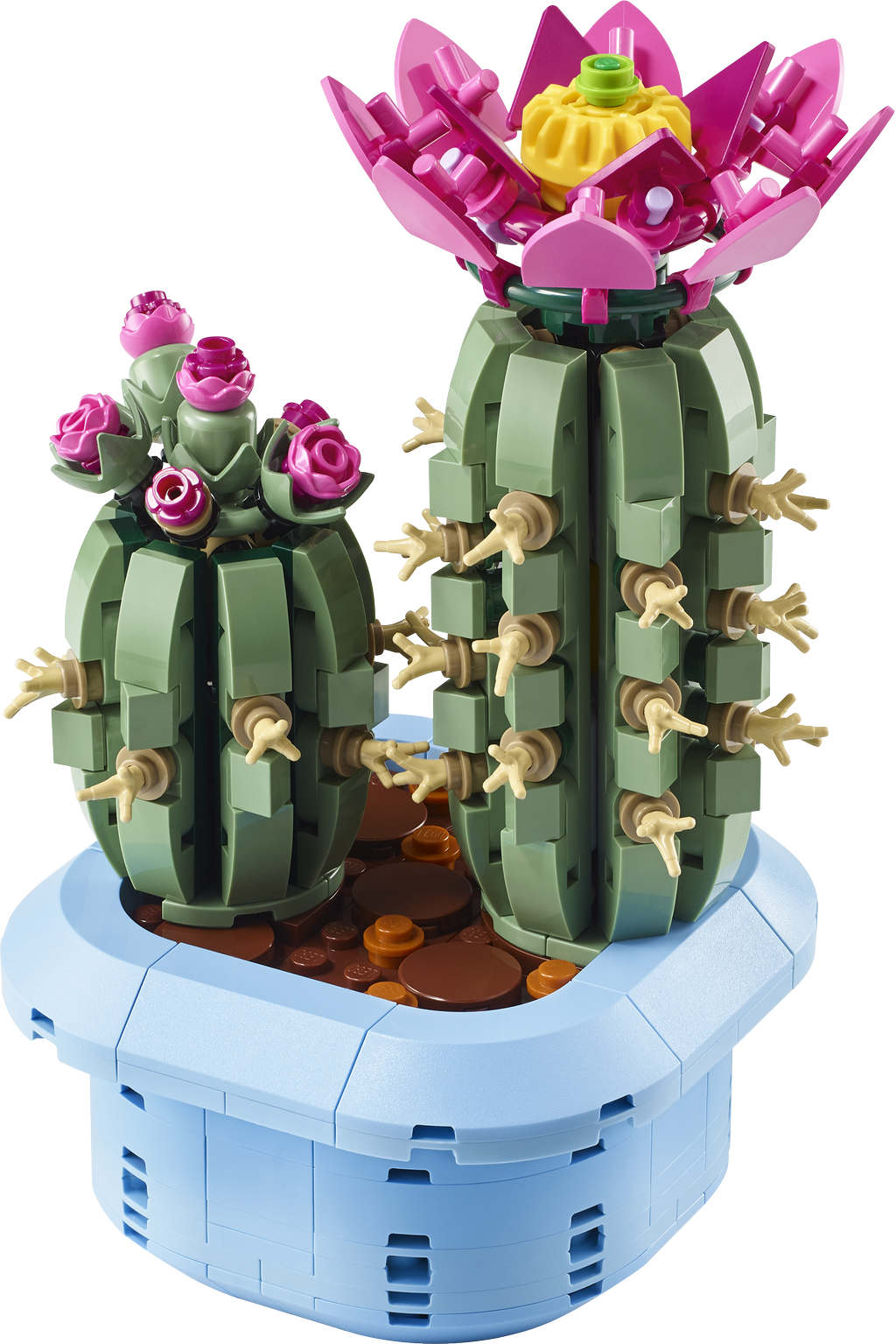 LEGO® Botanicals®, Blomstrende kaktus