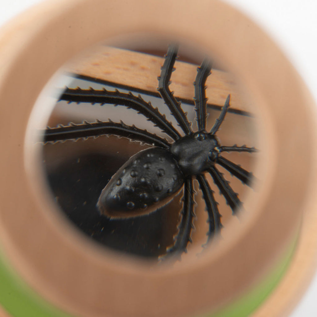Moulin Roty insektglas, Le Botaniste - Stor