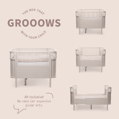 Sebra seng, baby og Jr. - Birchbark Rose