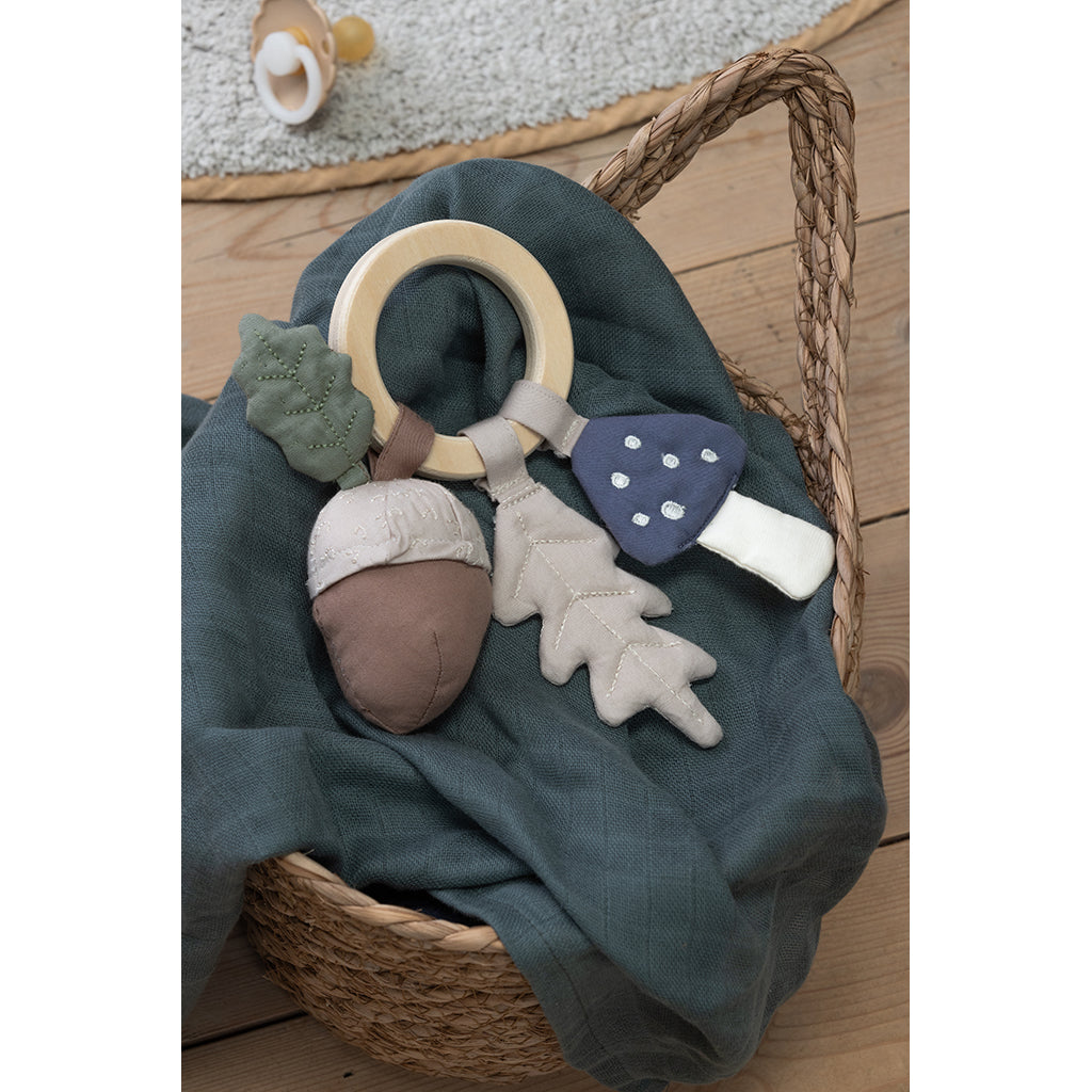 Sebra rangle med blad, svamp og agern