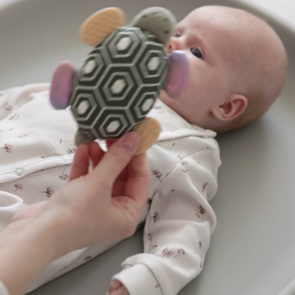 Sebra Aktivitetsrangle med spejl, skildpadden Turbo