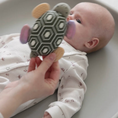 Sebra Aktivitetsrangle med spejl, skildpadden Turbo