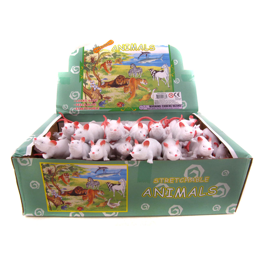 Robetoy gummidyr, Rotte