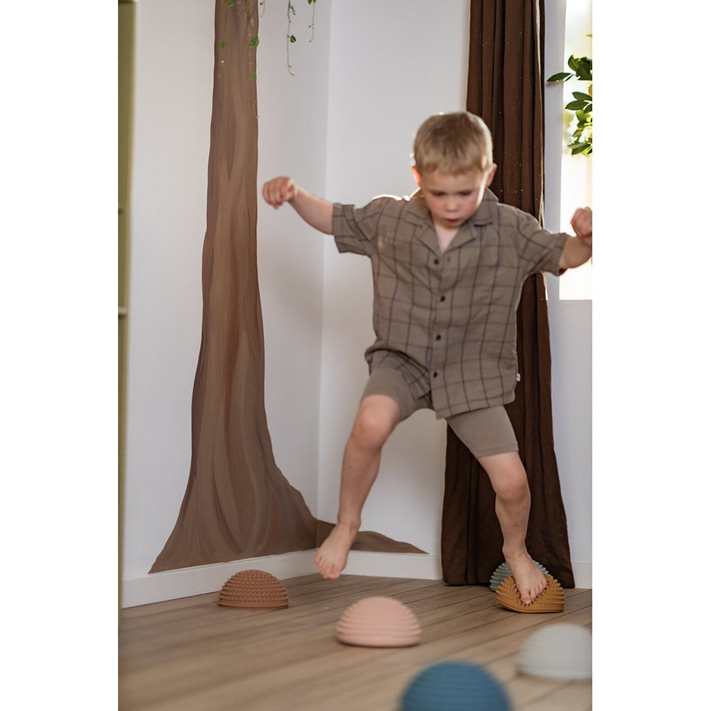 Find that Hippo, Sansesten, sæt m. 4 stk - Solnedgang