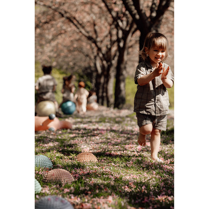 Find that Hippo, Sansesten, sæt m. 4 stk - Solnedgang