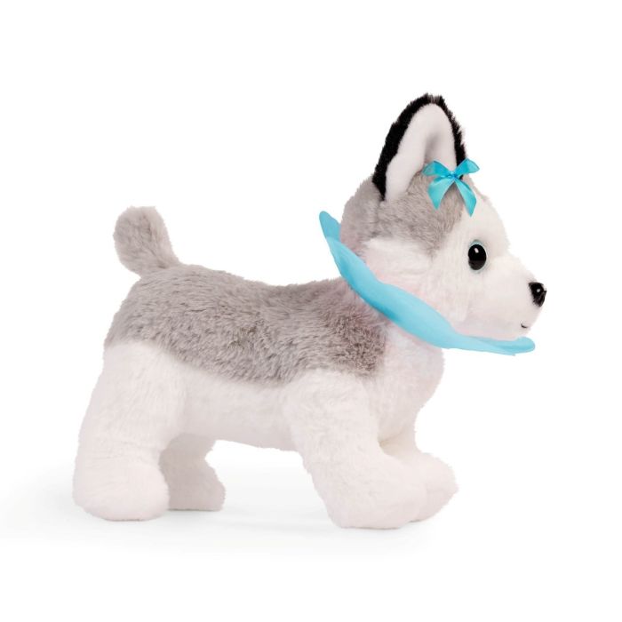 Pucci Pups Husky hos dyrelægen
