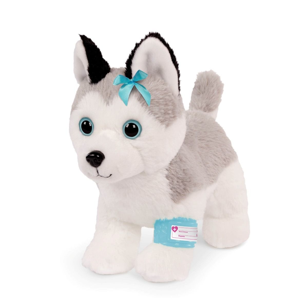 Pucci Pups Husky hos dyrelægen
