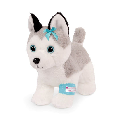 Pucci Pups Husky hos dyrelægen