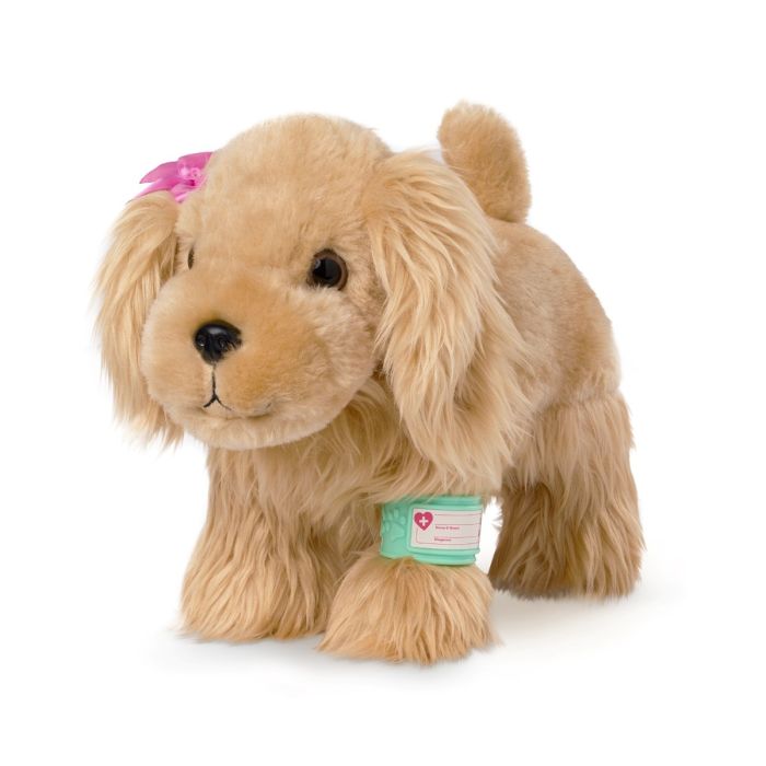 Pucci Pups Dyrelæge Cocker