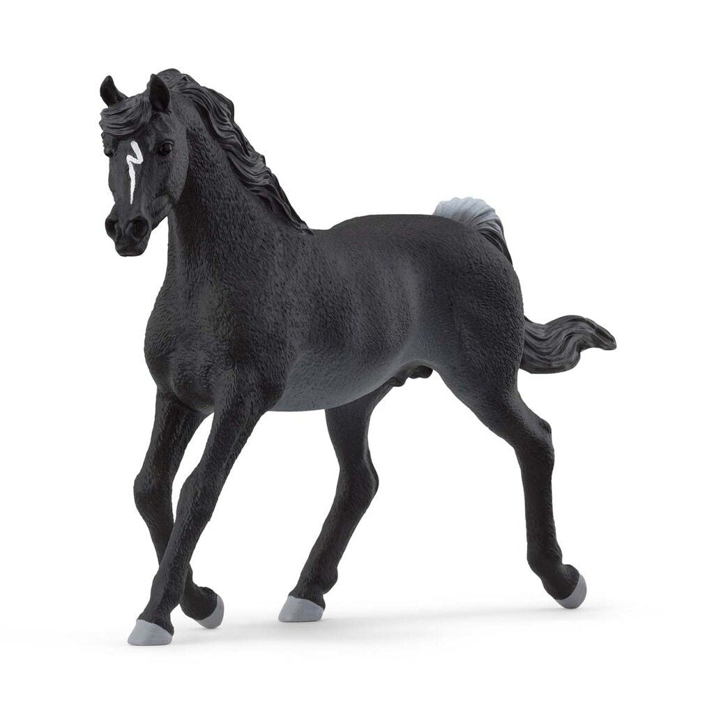 Schleich hest, Araber hingst