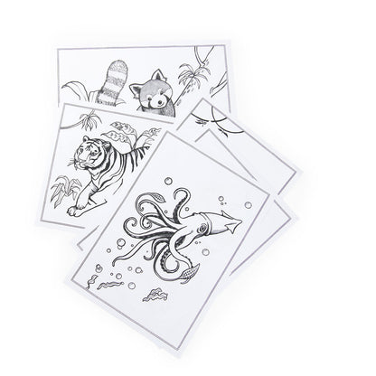 Moulin Roty Tegnetavle med lys, Tout autour du monde