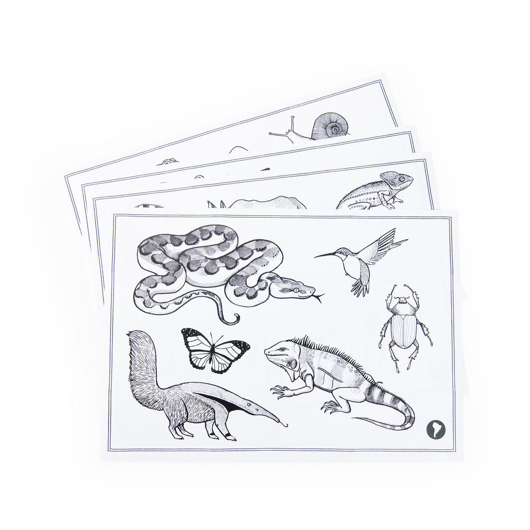 Moulin Roty Tegnetavle med lys, Tout autour du monde