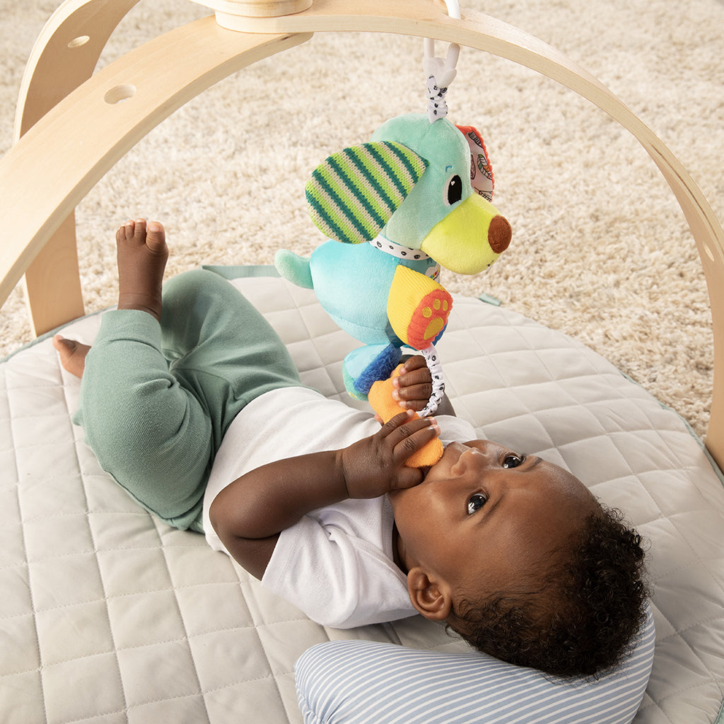 Lamaze Pupsqueak, Hund m lyd