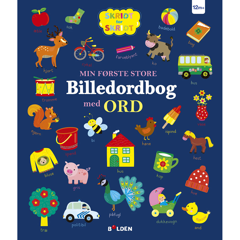 Min første STORE billedordbog med ord